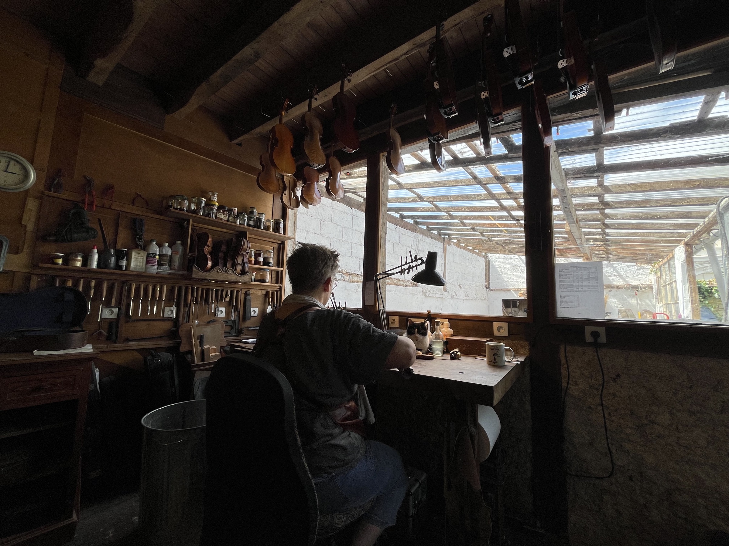 Atelier de lutherie La Violonnerie à Châteauroux, violons suspendus au-dessus de l'établi